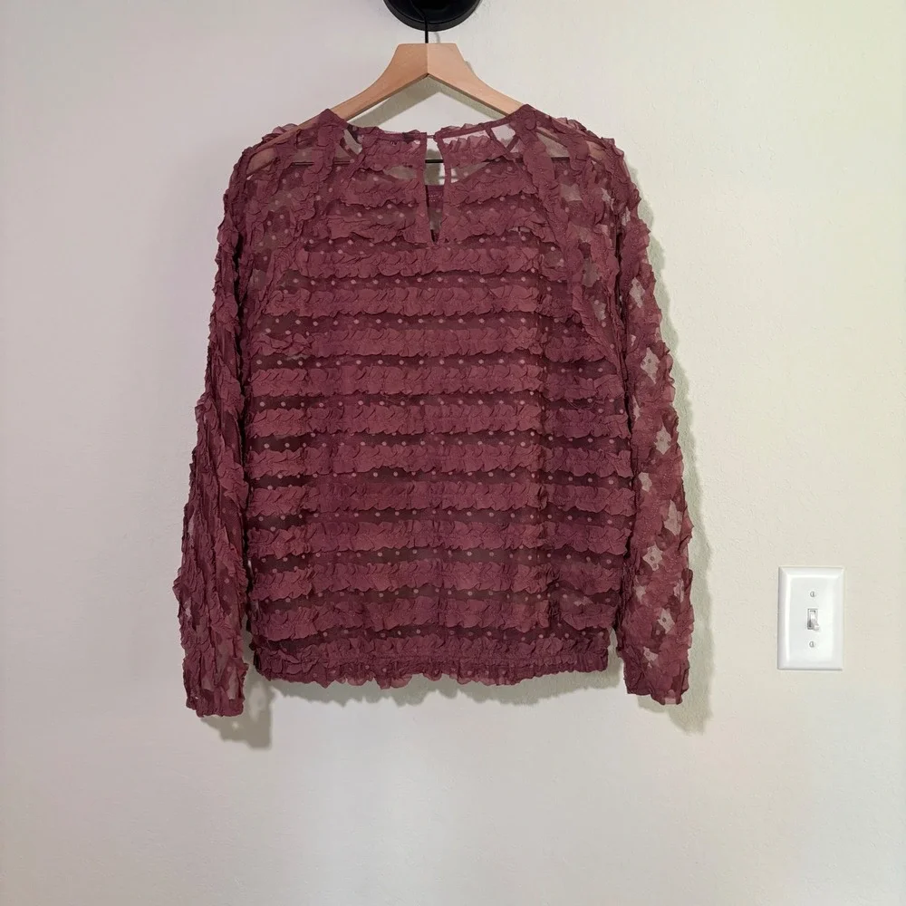 Zara Top Large Sheer Ruffle Swiss Dot Mauve Romantic Ethereal Blouse